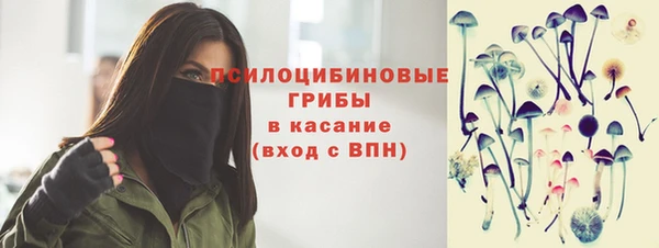 mix Надым