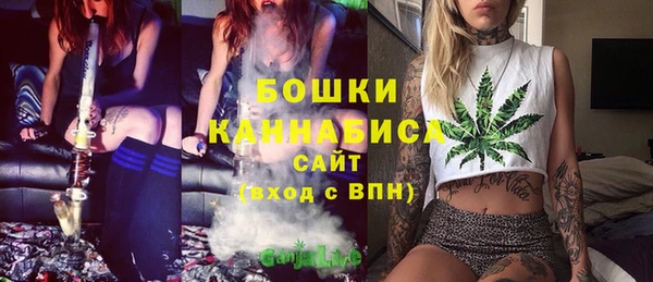 дживик Нефтекумск