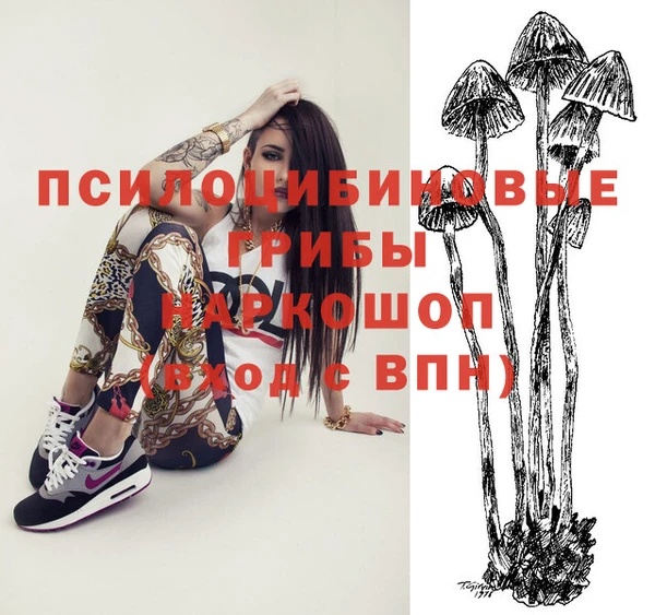Альфа ПВП Артём