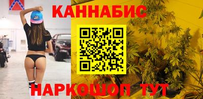 тгк Гай