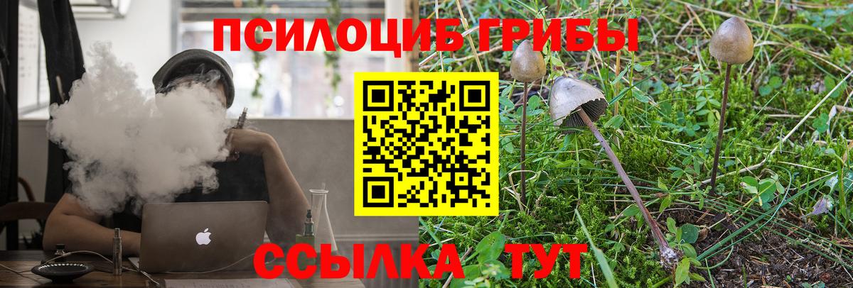 Назрань  Галлюциногенные грибы мухоморы  Вход с VPN 