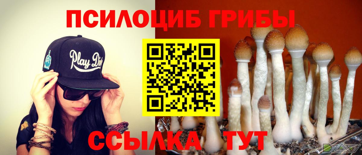 купить наркотики цена  Назрань  Галлюциногенные грибы ЛСД 