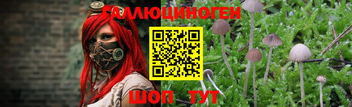 Псилоцибиновые грибы прущие грибы Назрань
